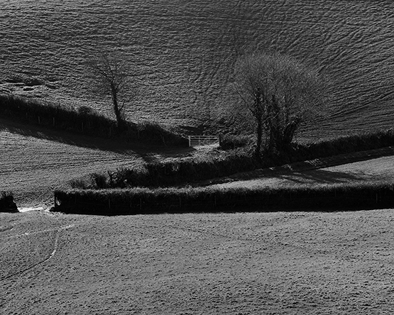 Ben Altman Art/Photographs: Inside Out: An Expatriate's Views/20