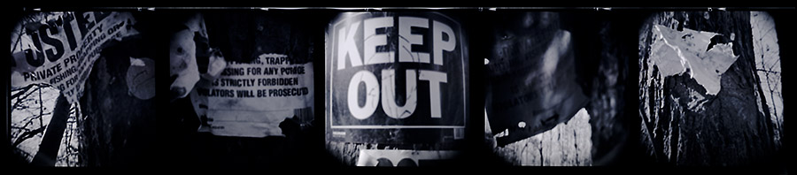 Ben Altman Art/Photographs: HOLGARAMA 11